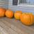 Ex-Large Pumpkins for Sale 3 thumbnail