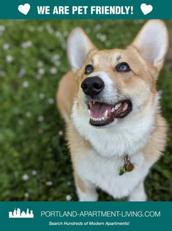 $1,395 / 1br - Your Dog Called & They Want You To Move To The Daveneaux! (NE Portland, NE Couch, Laurelhurst, Buckman)63845977569153120
