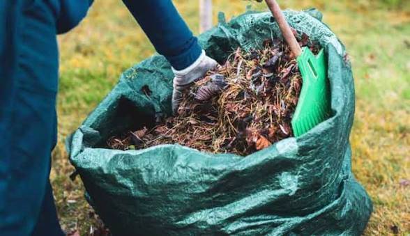 Yard clean up (Open)63906250051331121