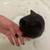 Guinea pig with cages 4 thumbnail