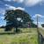 🌟 1-Acre Corner Lot in La Vernia – Now Offering Seller Financing! 🌟 14 thumbnail