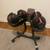 Dumbbells Bowflex with Stand 1 thumbnail