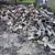 Chipping, stump grinding, felling, trimming, weed whacking, firewood splitting, 11 thumbnail