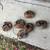 Porsche 911-912 alternator seat bases, window regulators more 14 thumbnail