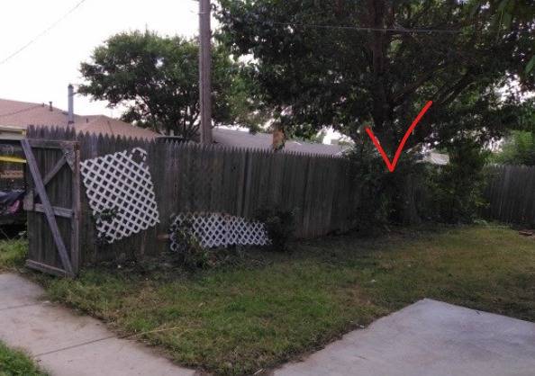 Looking for property preservation crew/Tree removal/Handyman 1