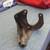 1967 mustang parts c 5 thumbnail