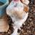 Brahma Rooster 2 thumbnail