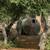 Steel Water Tank 1 thumbnail