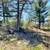 Vacant Duplex Lot in Waterfront Condo Community 23 thumbnail