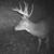 HUNTING LEASE 19 thumbnail