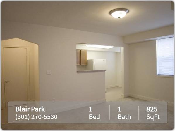 $1,399 / 1br - 825ft2 - Just the place you're looking for! Come and see! (Silver Spring - Right off of Georgia Avenue)63822079463297122