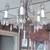 Antique Brass Chandelier,46 lead crystals,Candle typeGood Cond.Call me 1 thumbnail
