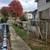 5 bath,2 kitchen besment has 2rooms,bath and privatedoor 9 thumbnail