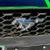 2019 FORD MUSTANG ECOBOOST COUPE 2D 10 thumbnail