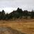 Mountain property and cabin 5 thumbnail