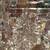 Christmas Decor - 2 Cats Christmas Ornaments / Clear Lighted Nativity 10 thumbnail