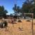 Horse Boarding Santa Cruz 7 thumbnail