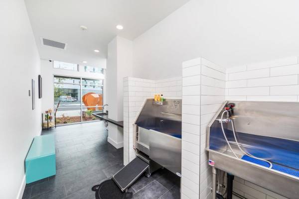 $1,710 / 553 pies² - Estudio de Lujo en Redmond con Balcón, Chimenea, 6 Semanas Gratis (Redmond, Centro de Redmond)63688480238595123