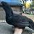Pullet 1 thumbnail
