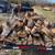 Firewood 3 thumbnail