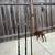 Fishing rod and reel and bass rod and reel 2 thumbnail