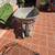 Wheelbarrow 3 thumbnail