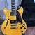 D’Angelico Premier Mini DC semi hollow guitar w/gig bag 2 thumbnail