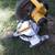 Dewalt 12"compound miter saw 1 thumbnail