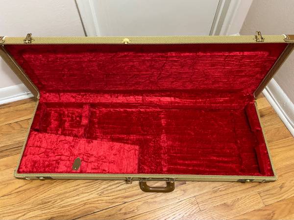 ELECTRIC GUITAR CASES 1