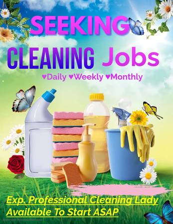 Seeking Cleaning Job🪷 1