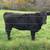 Heifers 1 thumbnail