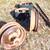 International Harvester 249? corn planter parts 7 thumbnail