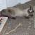 Seek temp housing for 4cats 3 thumbnail