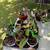 Succulents and House Plants 1 thumbnail