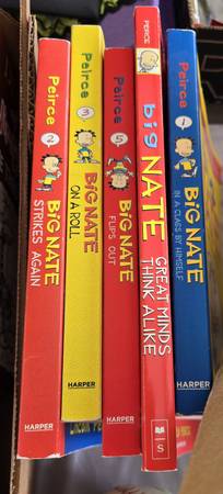 Big Nate Books 1
