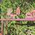 Antique Wagon Wheel Swing 5 thumbnail