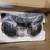 BNIB Bowflex SelectTech 552 Adjustable Dumbbells 3 thumbnail