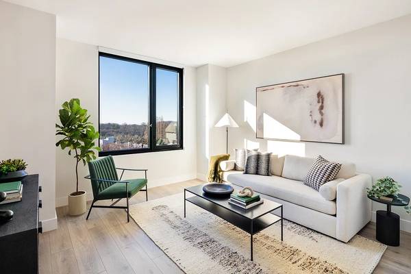 $2,500 / 1br - Extraordinary Brooklyn Sublet! Crown Heights - Disponible (1br - 750sf) (Brooklyn, NY)63854289697667122