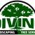 DIVINO LANDSCAPING AND TREE SERVICES 1 thumbnail