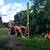 Waterwell Drilling Rig RAM10 7 thumbnail