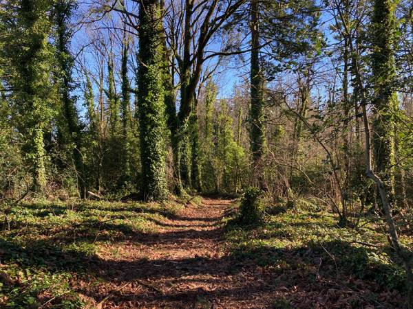 $1,449,000 1.5 Acres en Lake Oswego (Lake Oswego)63842022757761121