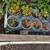 plants 3 thumbnail