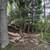 4+ Acres on Little Turtle River 8 thumbnail