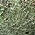 Alfalfa grass mix second cutting 3 thumbnail