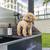Premium Luxury 1232 Sq Ft, 2 Bed / 2 Bath in Orlando 7 thumbnail