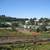 One Private Room for Rent in Miraloma Park 8 thumbnail
