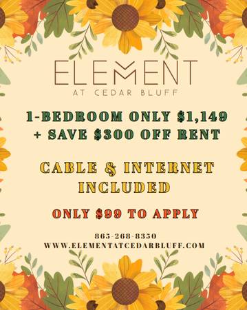 $1,149 / 1br - 607ft2 - Aprovecha esta oferta ahora... ¡No durará para siempre!!⏰ (Knoxville)63815667480195120