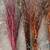 Dried natural decorative branches Grown in Wi (Curly Willow, Dogwood, 5 thumbnail