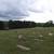 Cemetery Plots 3 thumbnail