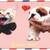 New Rare & Unique Limited Edition "I love you!" Greeting Card Collecto 1 thumbnail